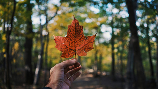 Are Canadian Made Soaps Better?