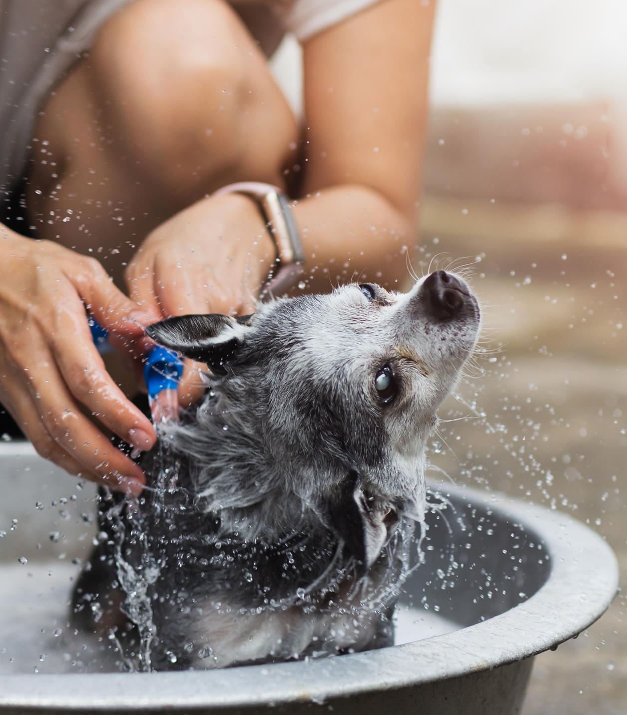 Unscented Pet Shampoo Bar